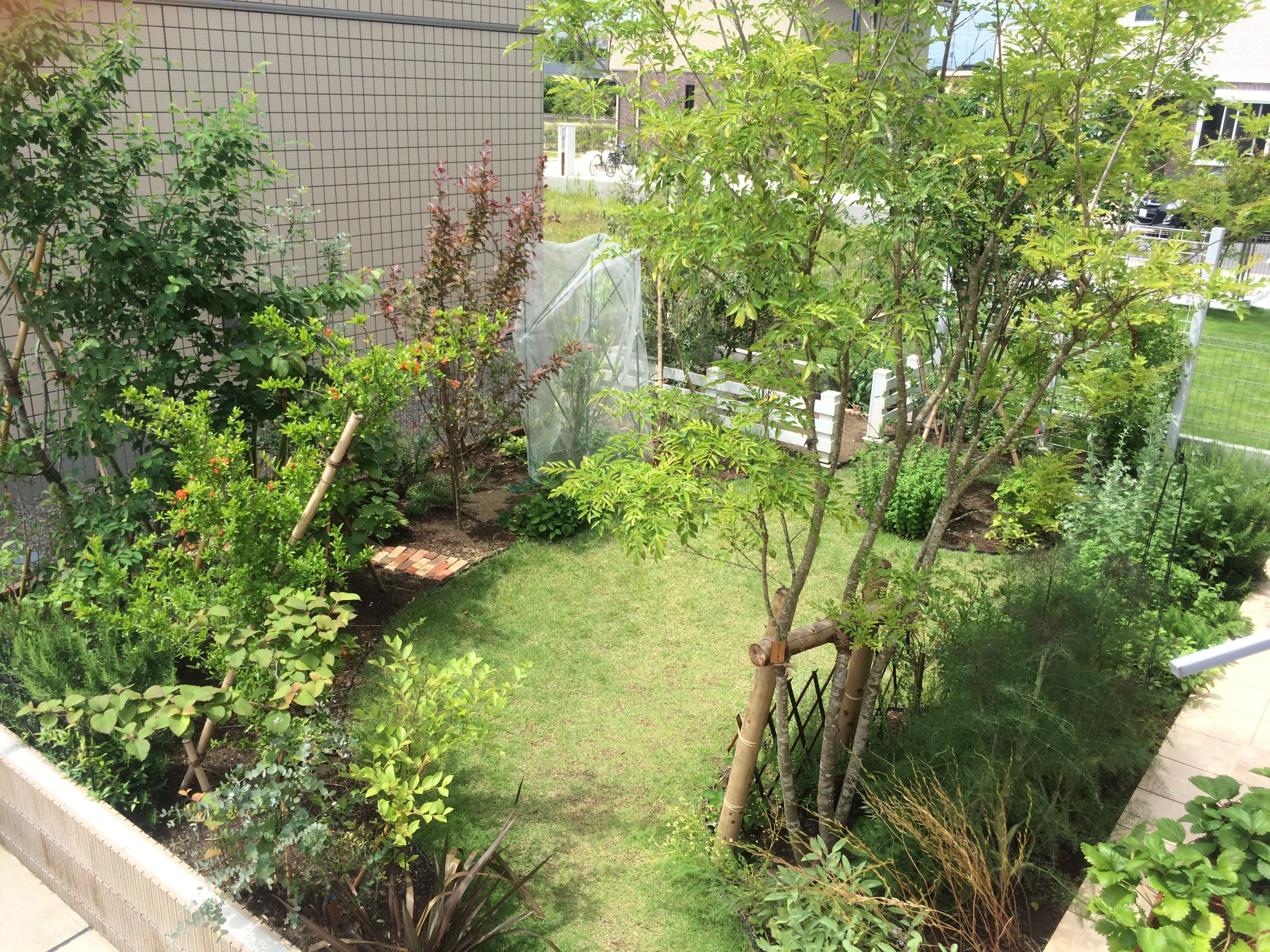 果樹の庭 Village Garden ビレッジガーデンは 千葉県を中心に全国でガーデンデザイン及び各種造園業務をご提供しております